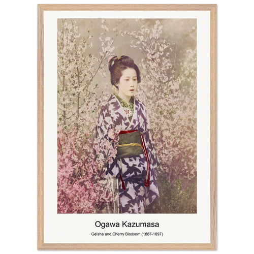 Geisha and Cherry Blossom (1887-1897) by Ogawa Kazumasa. Archival Print on Museum Quality Matte Paper. Premium Wood Framed Wall Art. Optimised Aspect Ratio.
