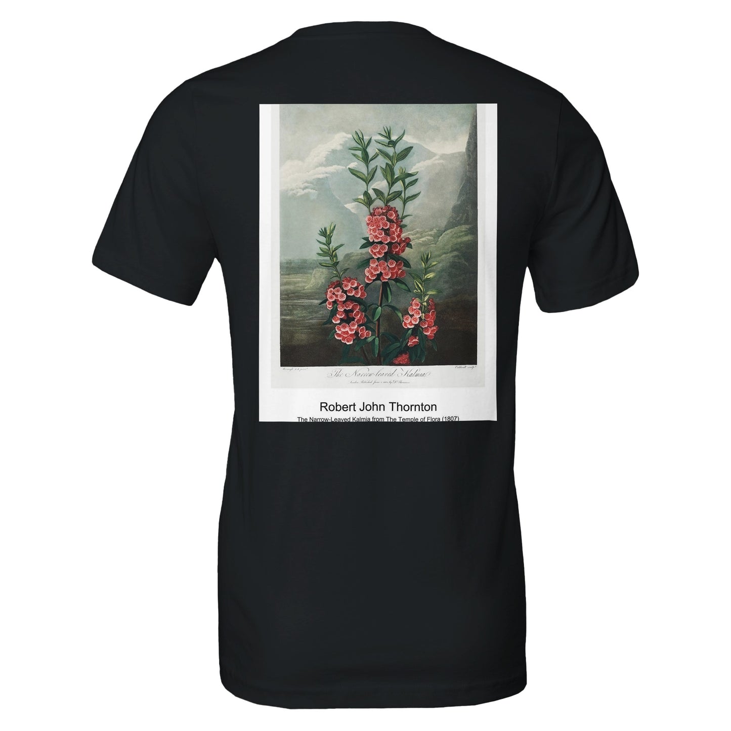 04993ffb-10c2-4de1-ac61-885a1eed98df