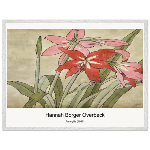 Amaryllis (1915) by Hannah Borger Overbeck. Archival Print on Museum Quality Matte Paper. Premium Wood Framed Wall Art. Optimised Aspect Ratio.