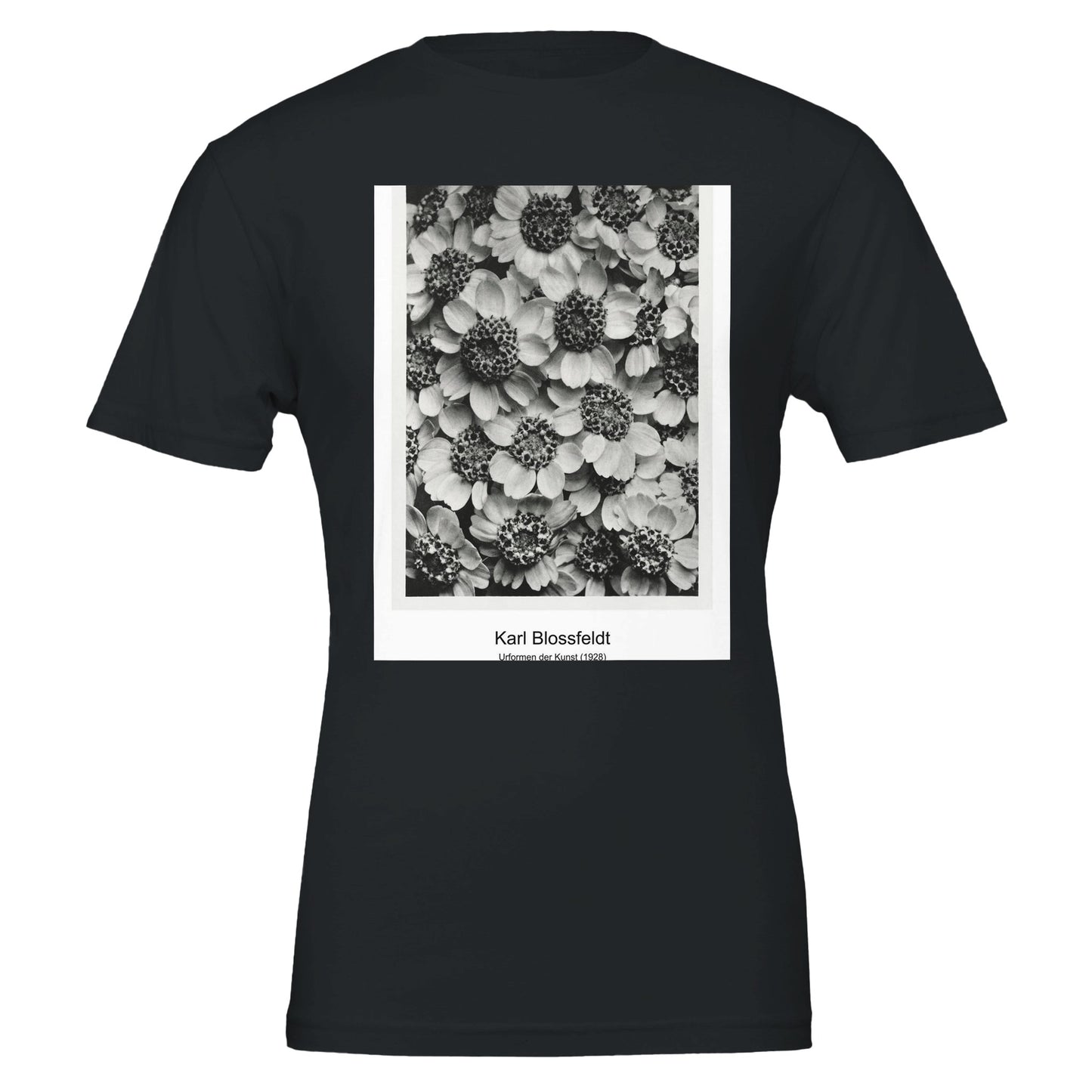 04d4e5f7-10dc-47bb-b931-97ecfa6c5d3e