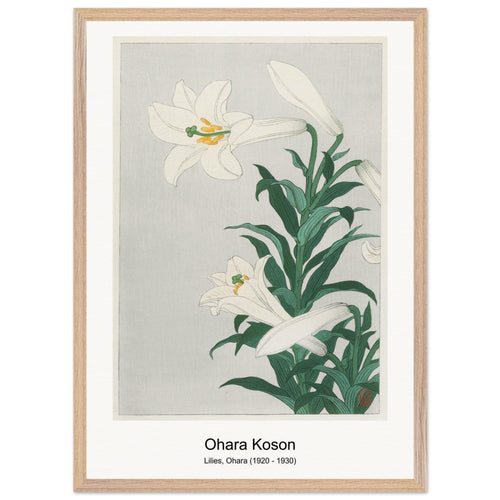 Lilies, Ohara (1920 - 1930) by Ohara Koson. Archival Print on Museum Quality Matte Paper. Premium Wood Framed Wall Art. Optimised Aspect Ratio.