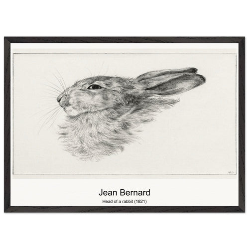 Head of a rabbit (1821) by Jean Bernard. Archival Print on Museum Quality Matte Paper. Premium Wood Framed Wall Art. Optimised Aspect Ratio.