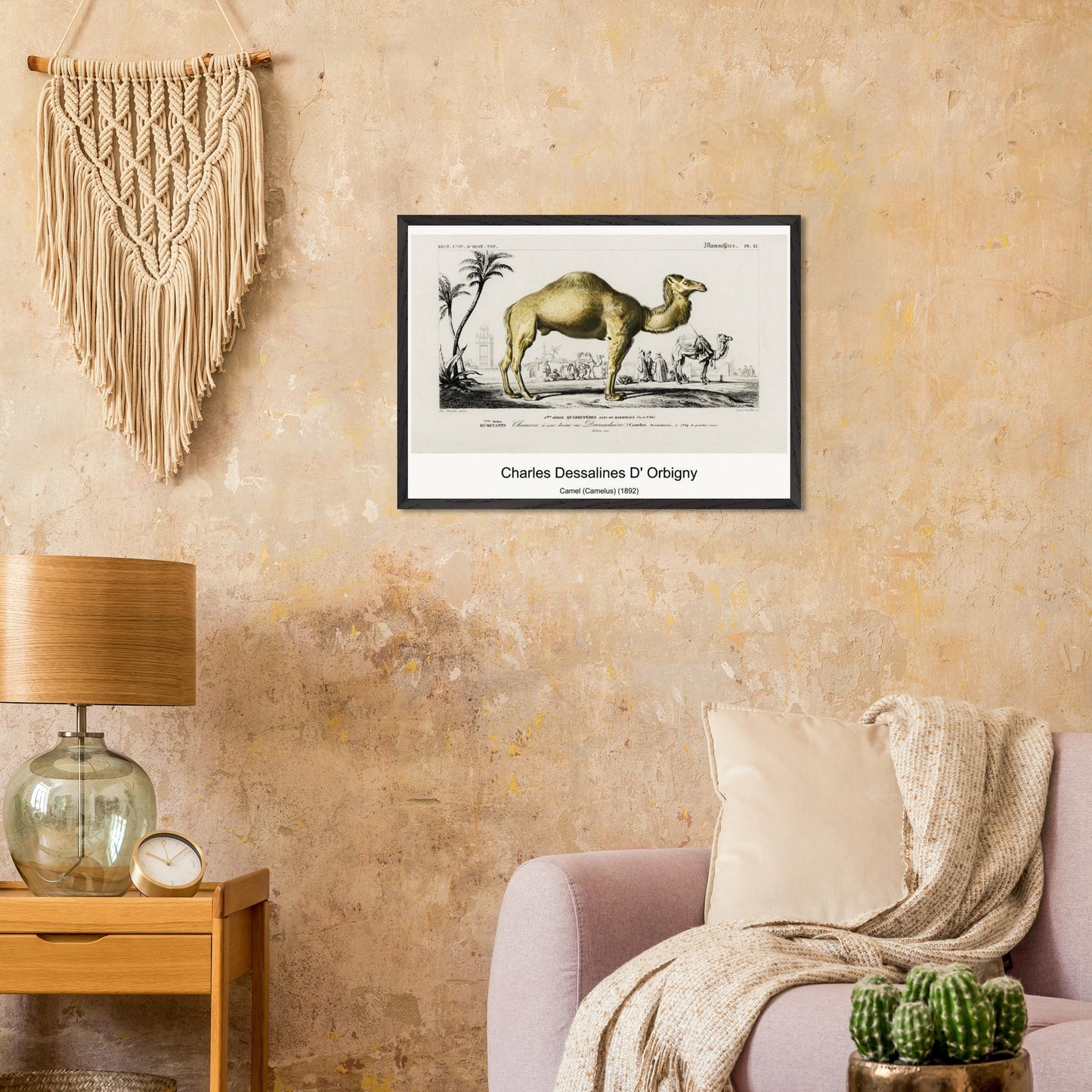 05e08a9d-9ab0-4a2e-a3c1-0aaf2e54c0bf