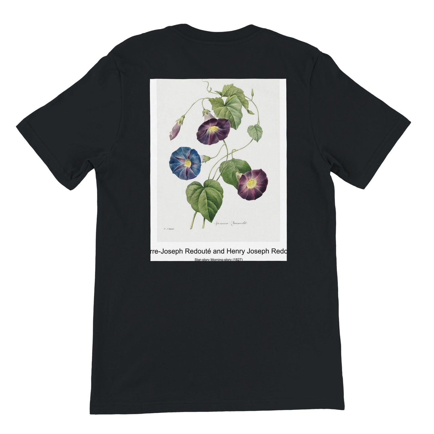 05f26928-94e9-45ad-89da-9f99c30f0b8a