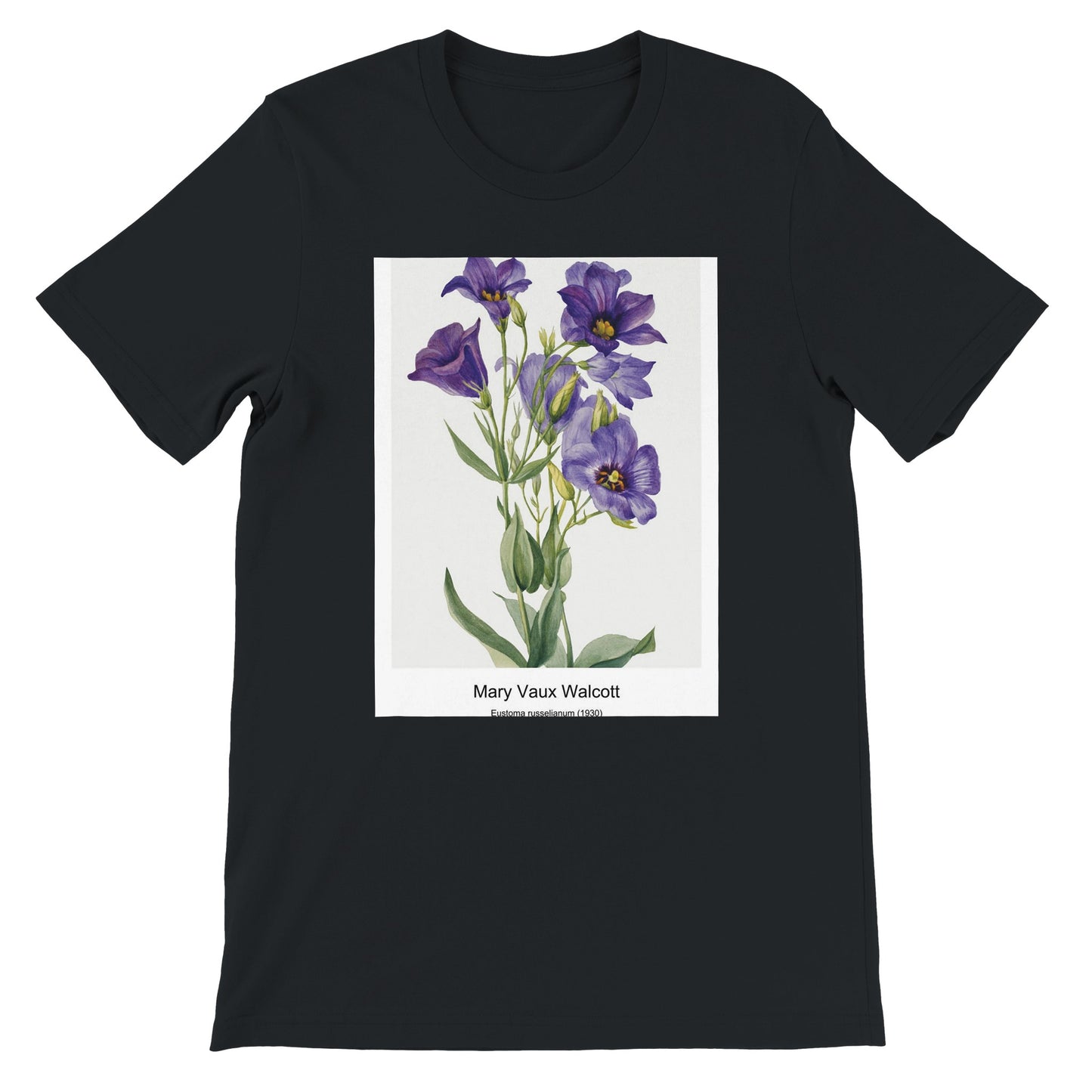 0608cde5-fa78-4024-b72c-8d442f36f0eb