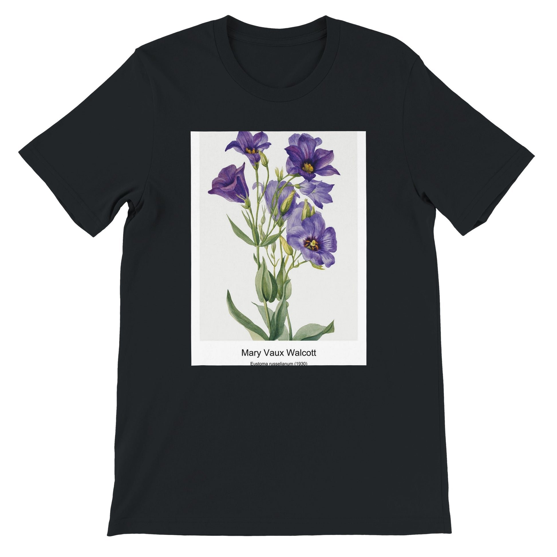 0608cde5-fa78-4024-b72c-8d442f36f0eb