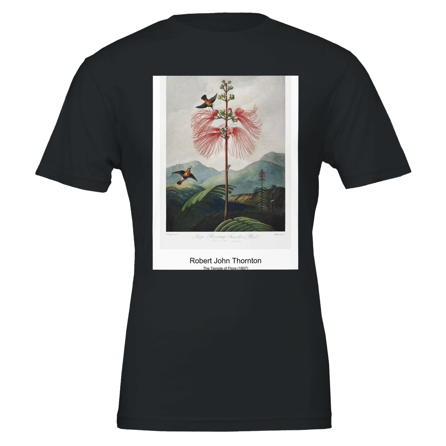 074828f1-96be-48fc-b5cf-59e3cec2ad65