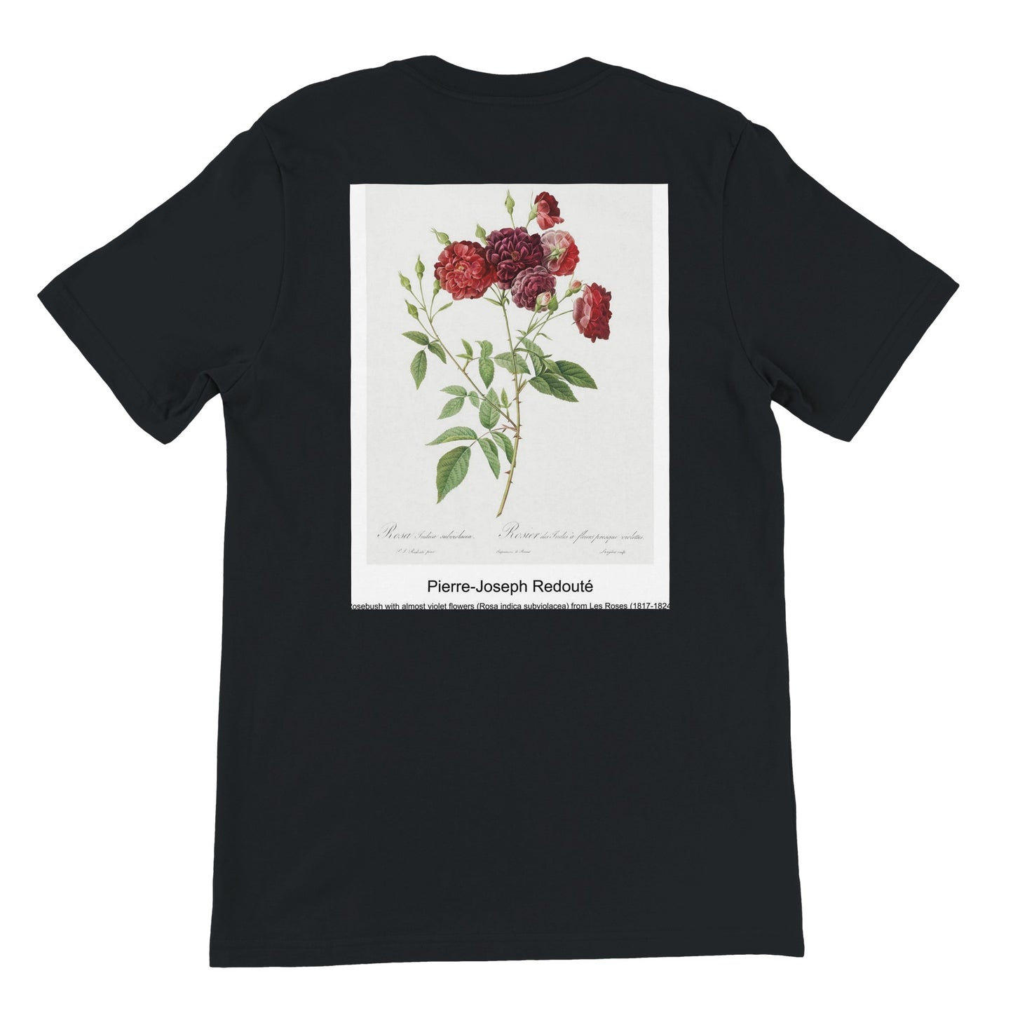 0759aa36-9f1b-4491-a83c-8ee7f89e081c