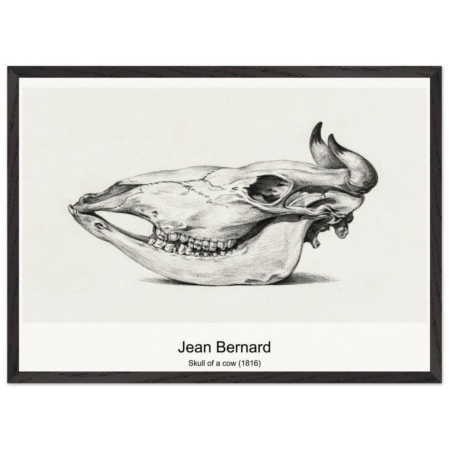 07d2c80b-9f8d-42ba-bdf8-791467ef70e5