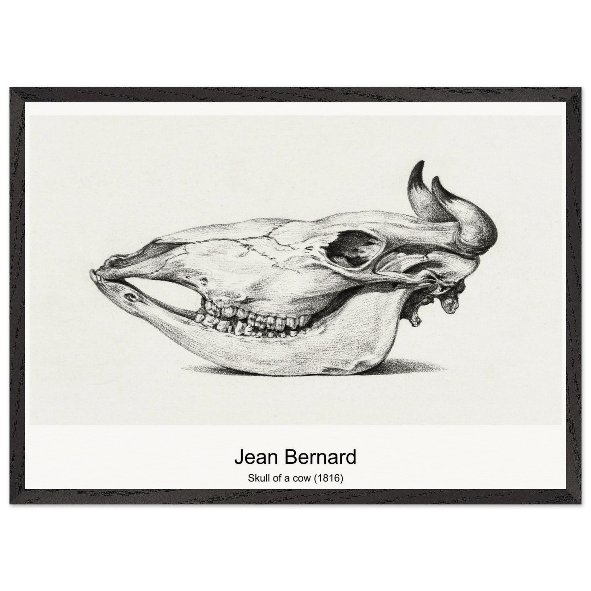 07d2c80b-9f8d-42ba-bdf8-791467ef70e5