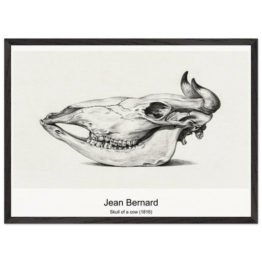 07d2c80b-9f8d-42ba-bdf8-791467ef70e5