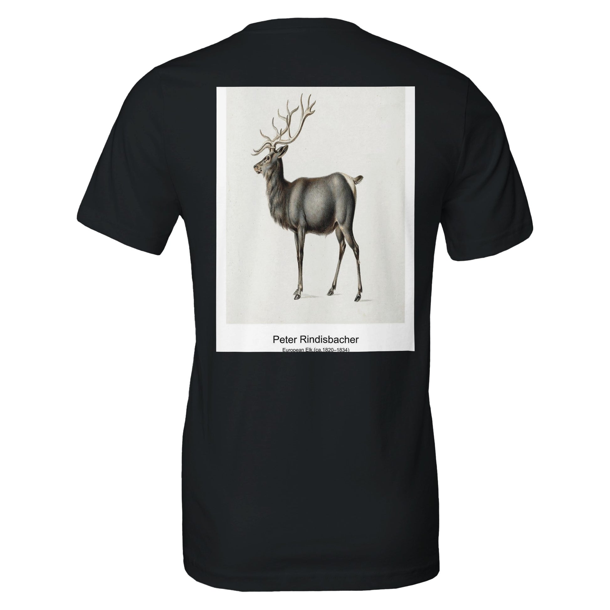 083533cf-2cc3-48d2-8edf-f22b503bc941