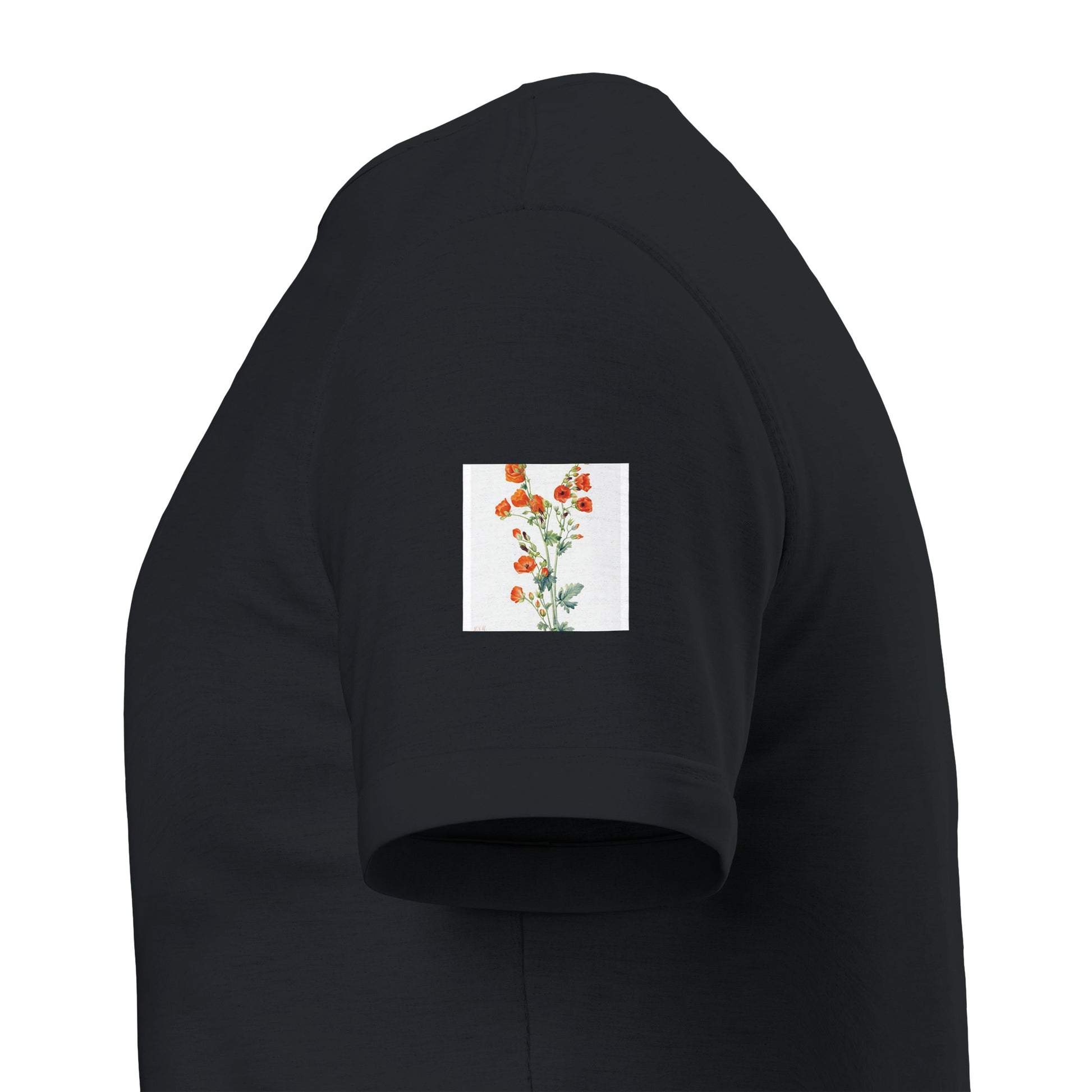 08bba9a7-e41d-4b09-a433-9d1b53fcf70f