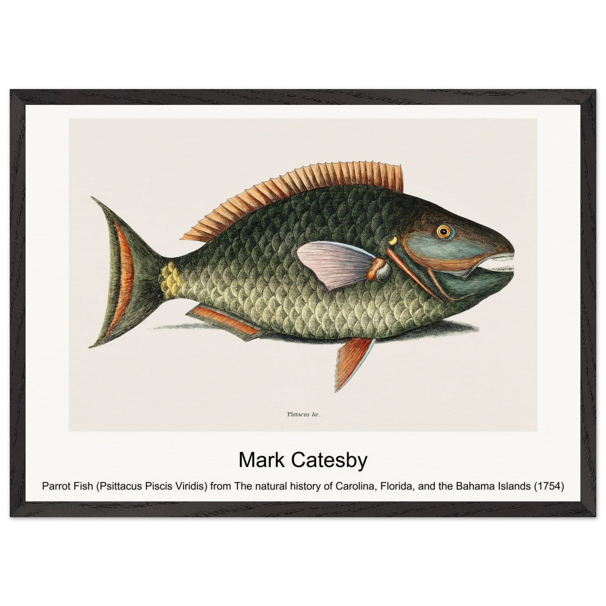 08fa3780-4de8-4646-a9dc-89e9518ca917