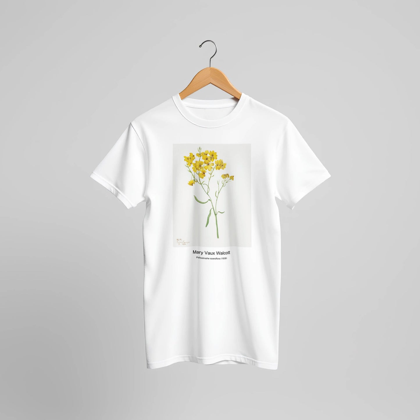 09b2dce7-07e0-4015-b188-1a5e093e46ea