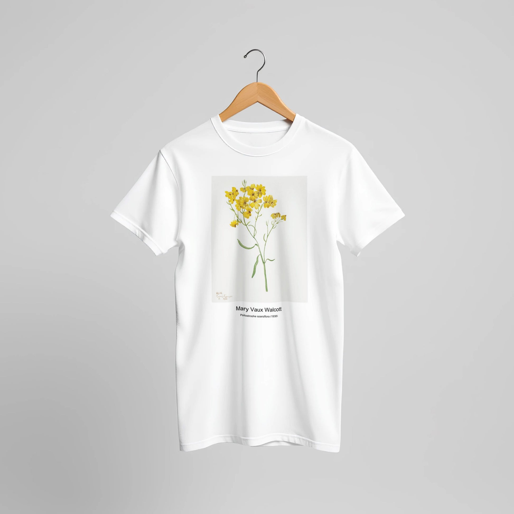 09b2dce7-07e0-4015-b188-1a5e093e46ea