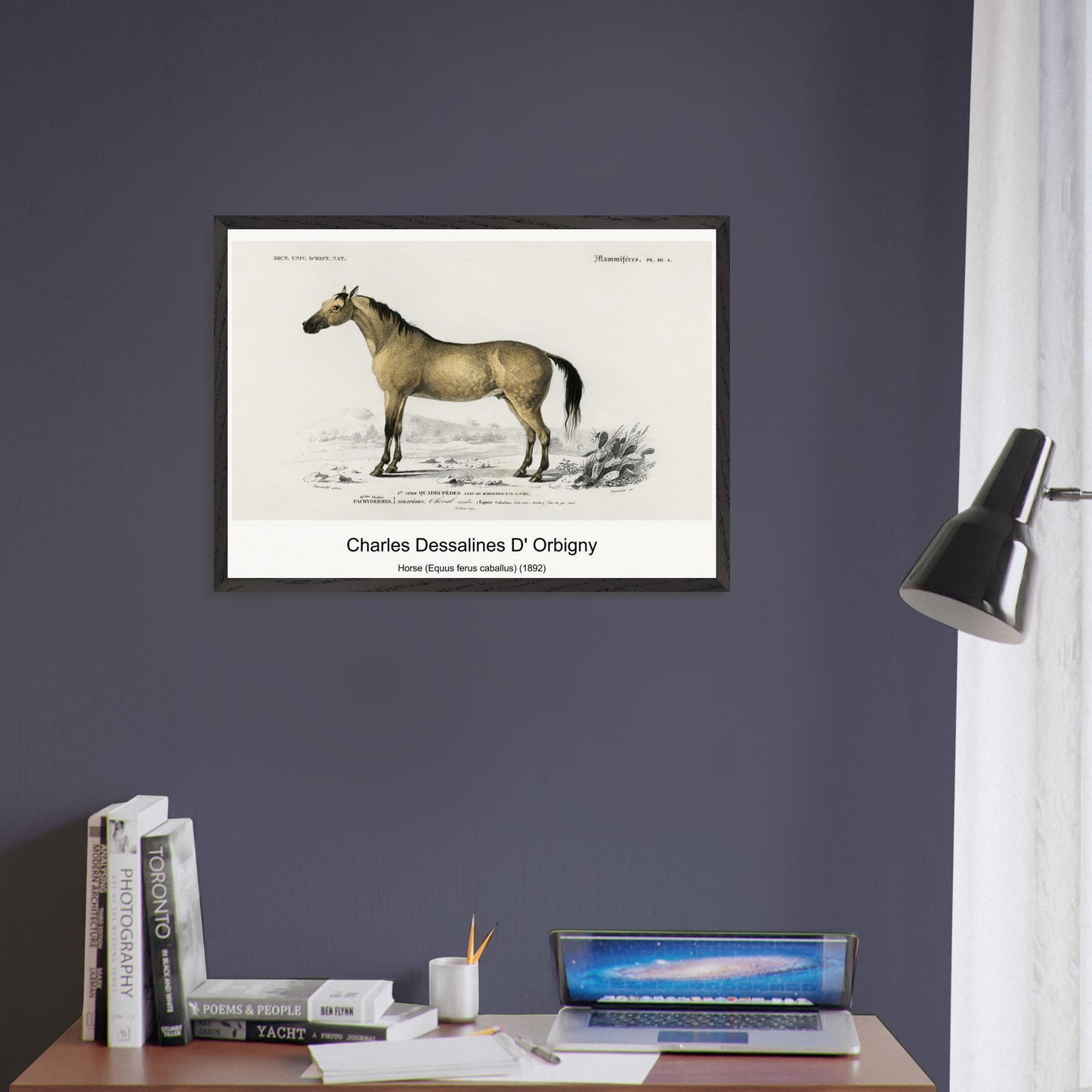 09ea7c39-73ed-450a-955c-004f8d69bd93