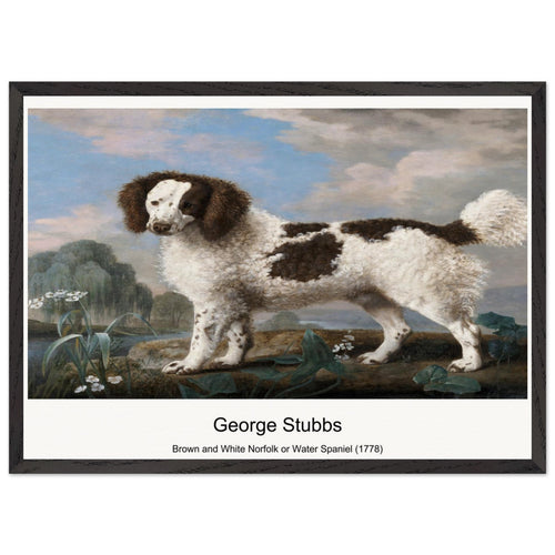 Brown and White Norfolk or Water Spaniel (1778) by George Stubbs. Archival Print on Museum Quality Matte Paper. Premium Wood Framed Wall Art. Optimised Aspect Ratio.