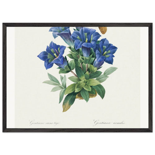 Bois de la Chaise (Paysage) (1892) by Pierre-Auguste Renoir. Archival Print on Museum Quality Matte Paper. Premium Wood Framed Wall Art. Original Aspect Ratio