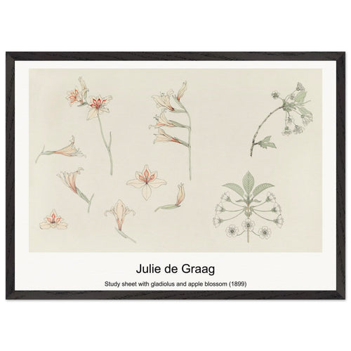 Study sheet with gladiolus and apple blossom (1899) by Julie de Graag. Archival Print on Museum Quality Matte Paper. Premium Wood Framed Wall Art. Original Aspect Ratio