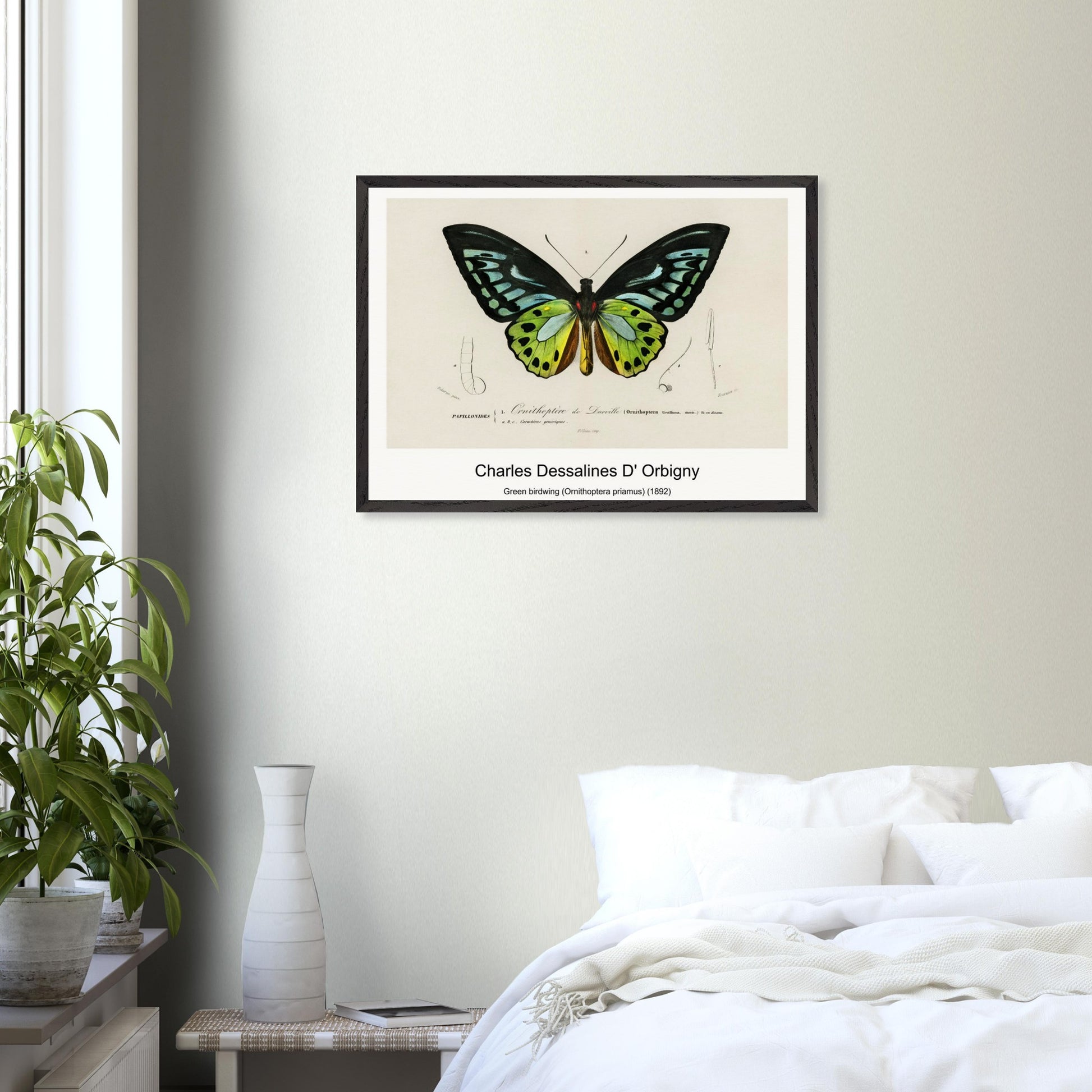 0c581753-ede3-4e47-b1b5-b943803b73a8