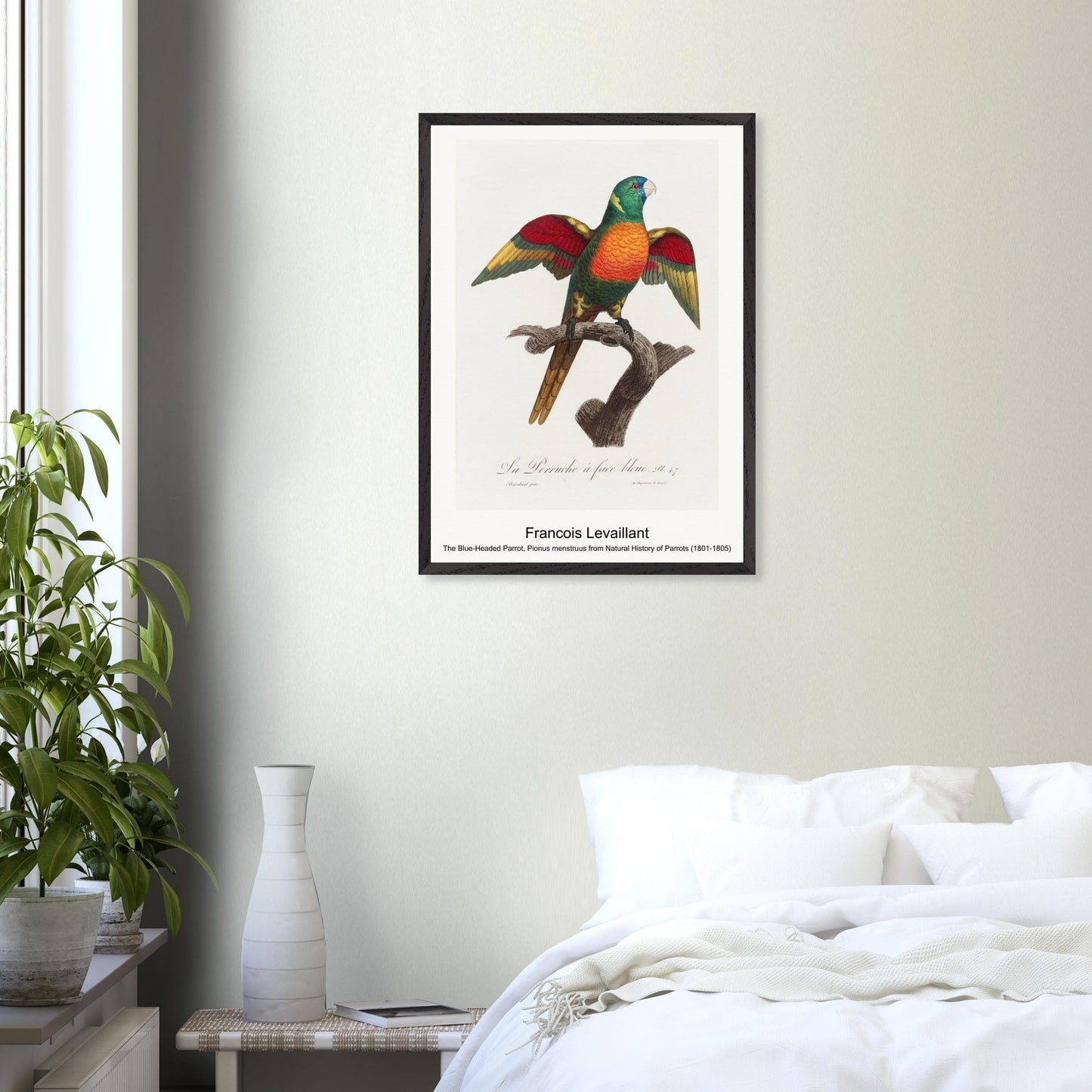 0d16e94a-8aab-4171-b3c9-b17b9b2dd444