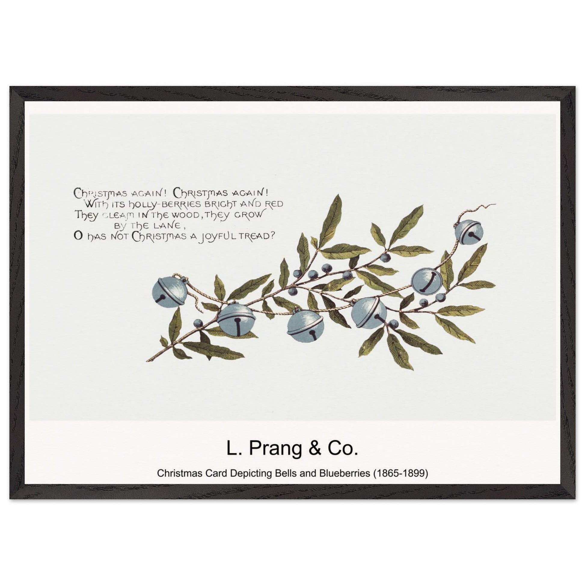 0d7e3e38-1556-4ed1-9b63-06ad25412a1a