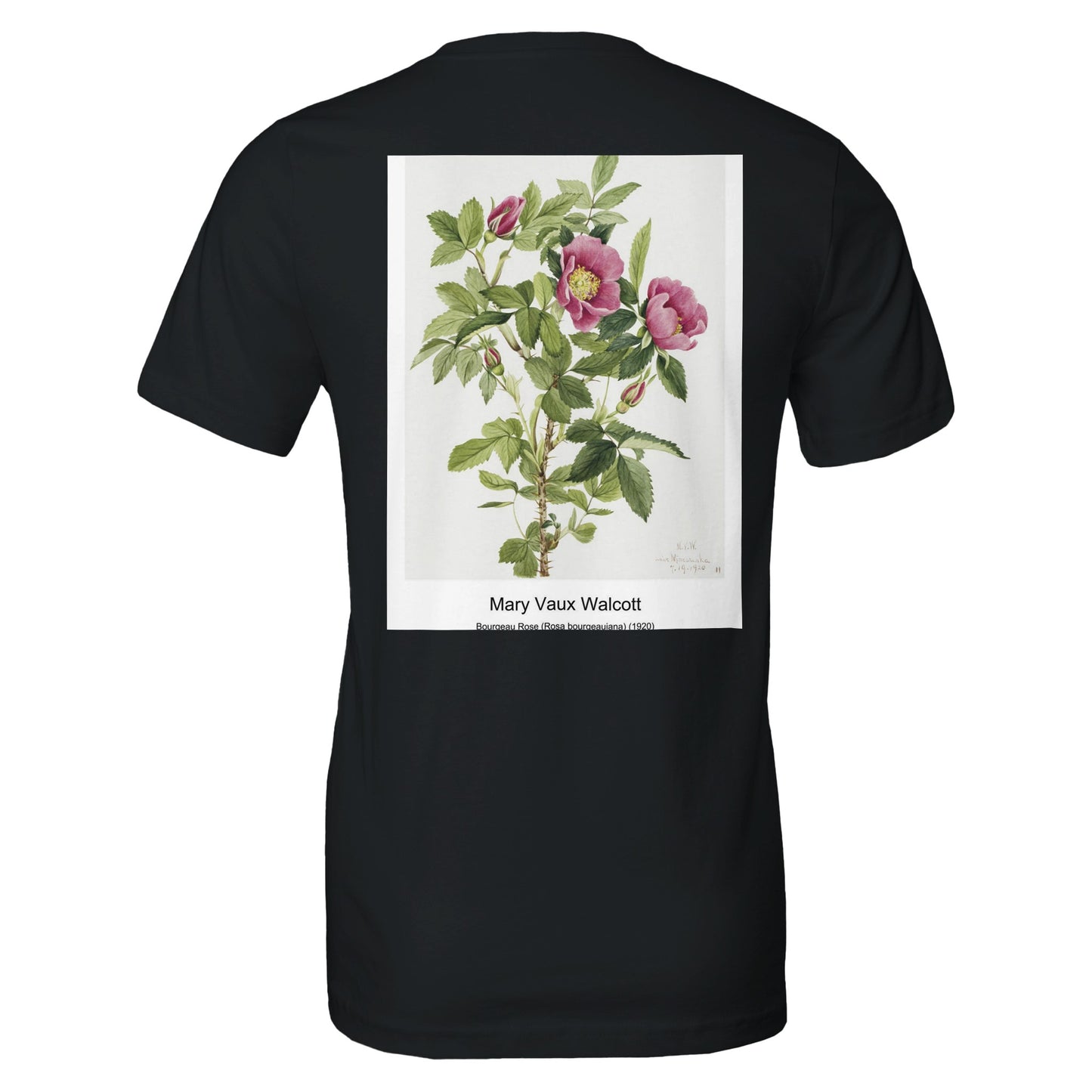 0de7b2b1-146a-405b-8b1e-859a2fb0a185