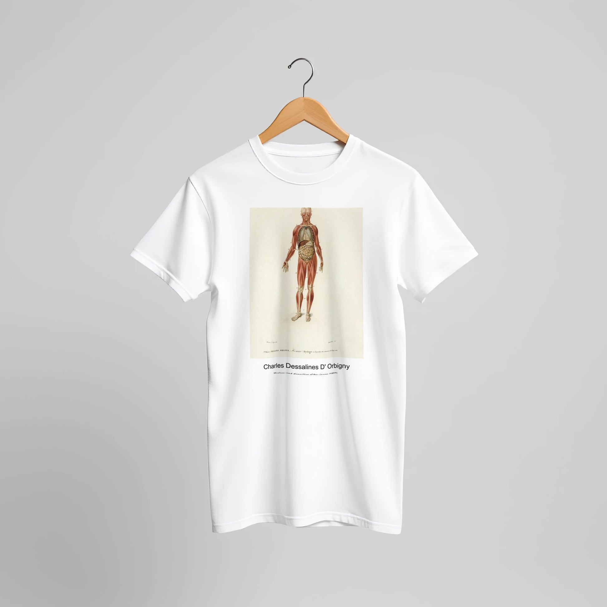 0e0a86d8-ea61-4718-af6b-a8468db1678e