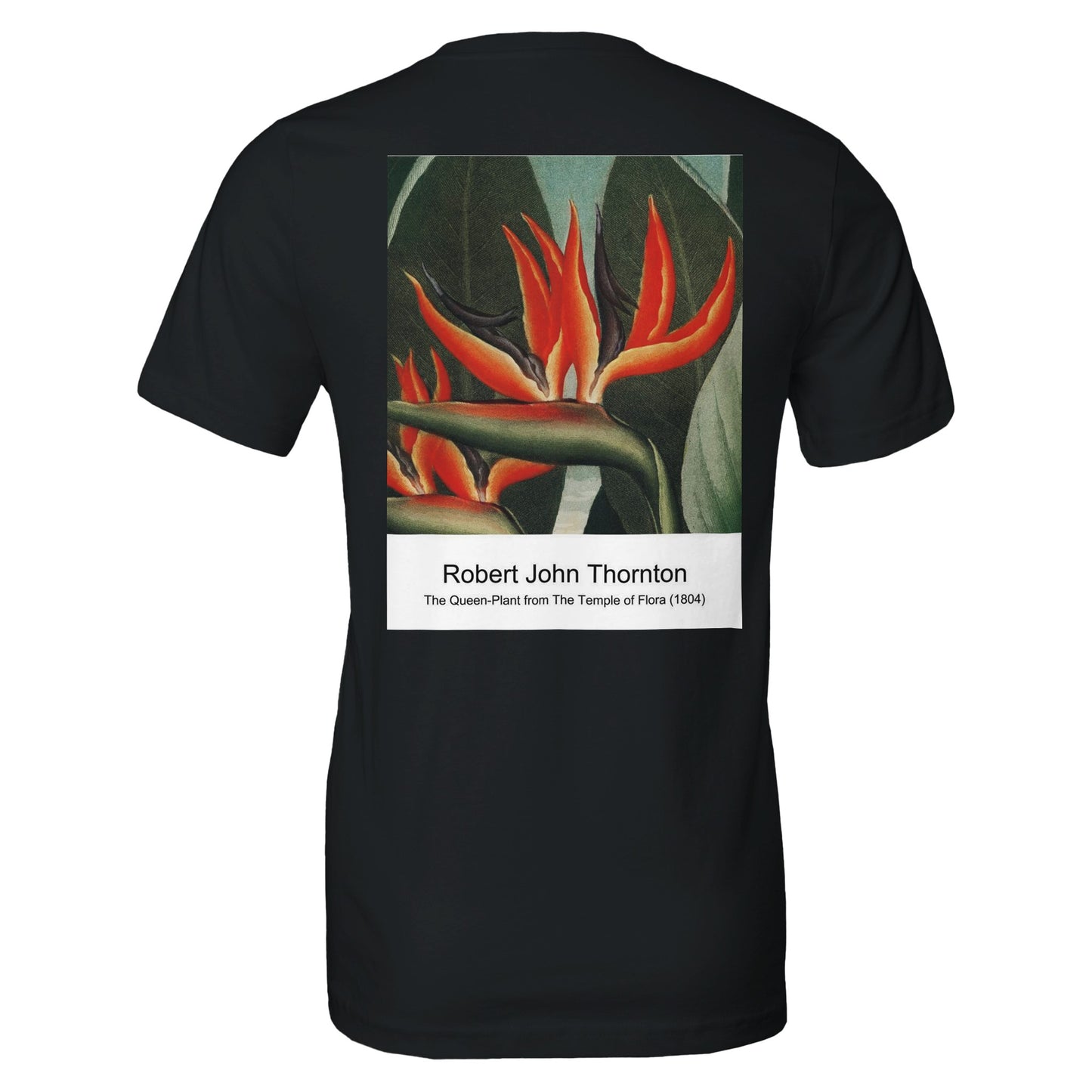 0e0fd9ce-dbe3-4f23-a09c-6f750ea28f23