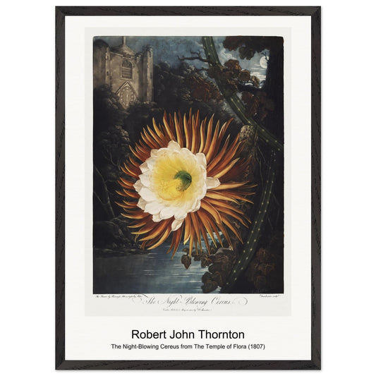 0e731fcb-1838-4f65-9412-9054dc414efa