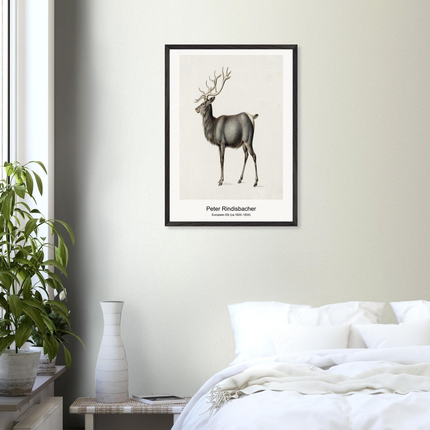 0e88e9d0-6386-4895-a622-8594da47370d