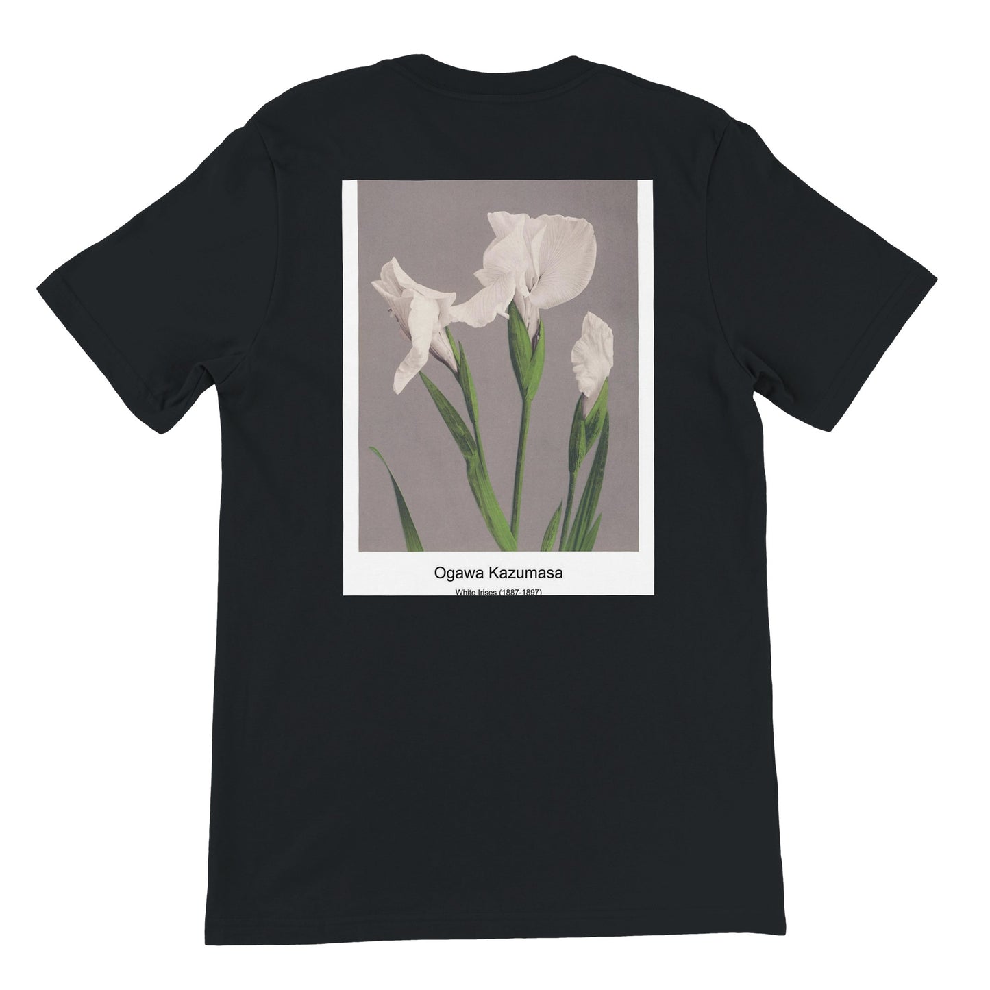 0f47630d-2009-469f-a688-a3c1487534dc