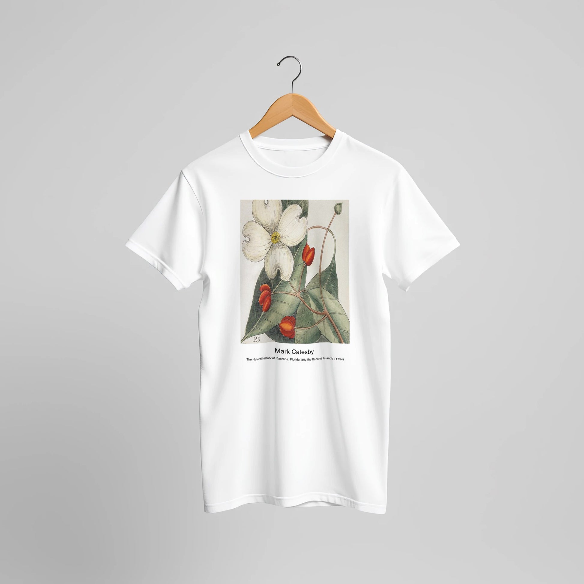 0fe186d7-c9ee-477b-b875-4dd5700d2c09