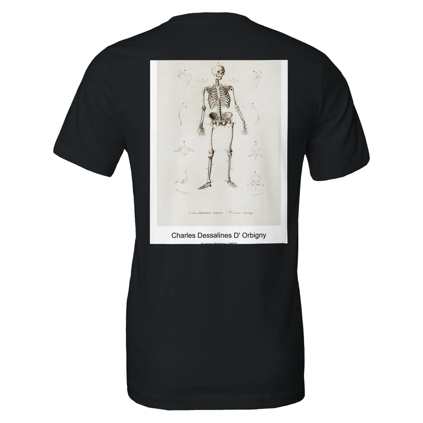 0ffe05ab-edd8-4ceb-96c4-5a08af99f72c