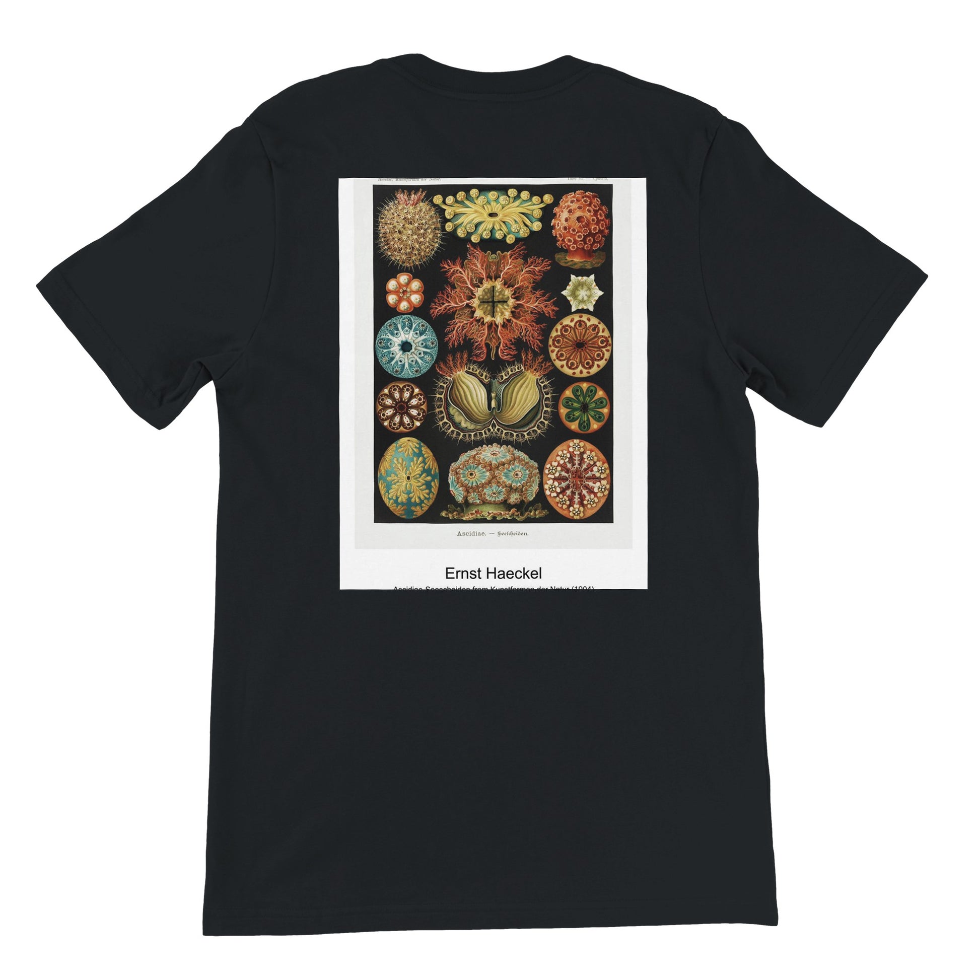 10c73f17-7c37-4417-b51e-a9100d99776c