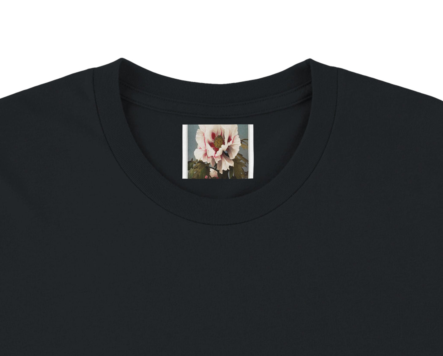 112e7fca-8316-4eff-a504-2d4b7cfa8dcc