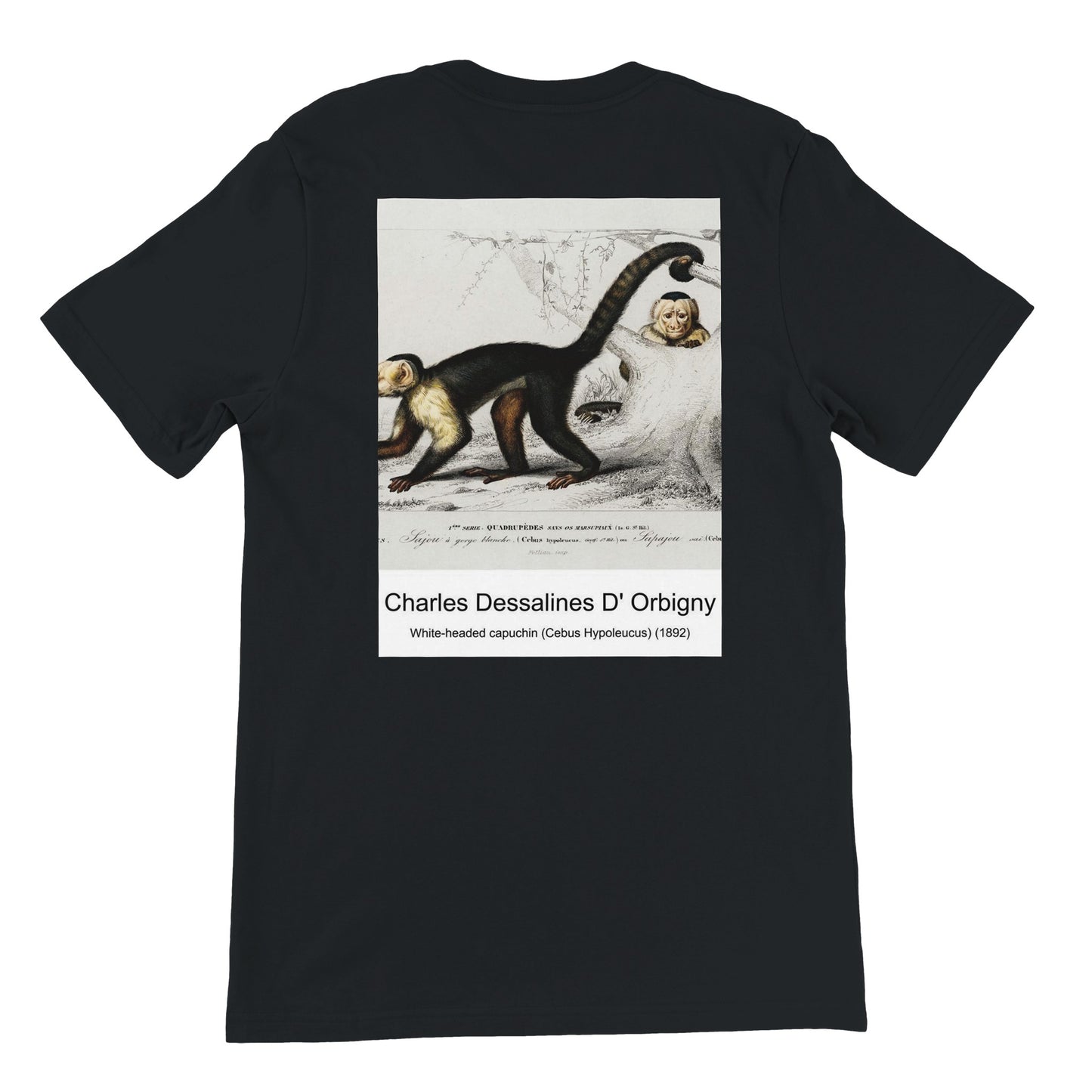 116a63ee-35bf-4794-9f30-2af1dbdd735b