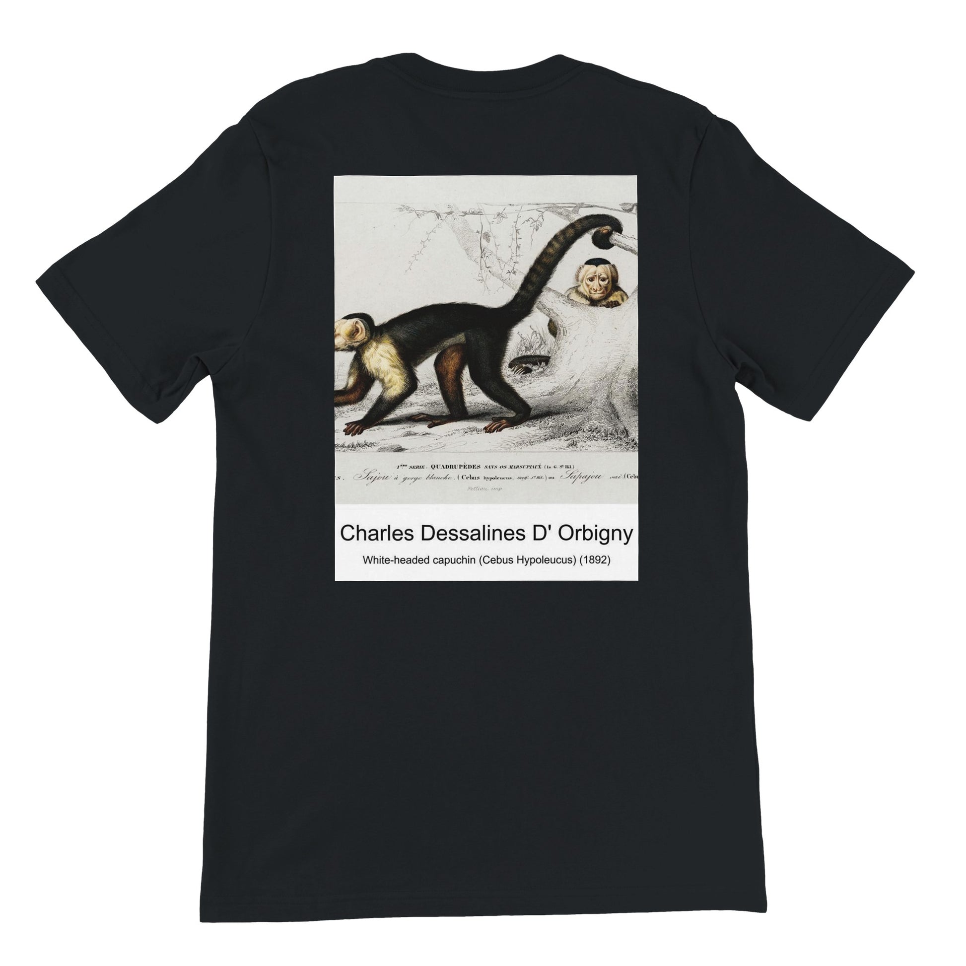 116a63ee-35bf-4794-9f30-2af1dbdd735b