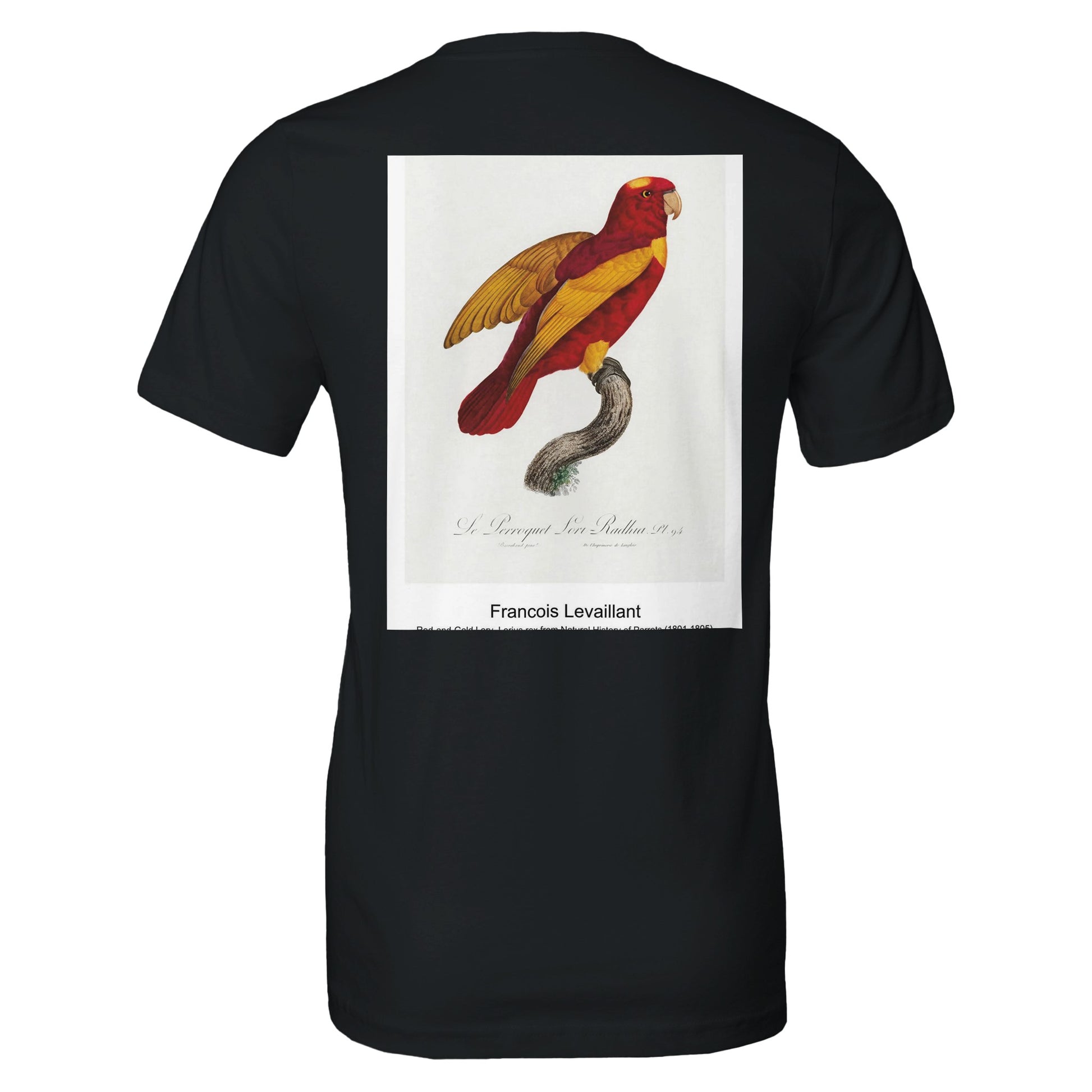 117a2f5d-f4a8-438f-af3a-f735b7d4a55e