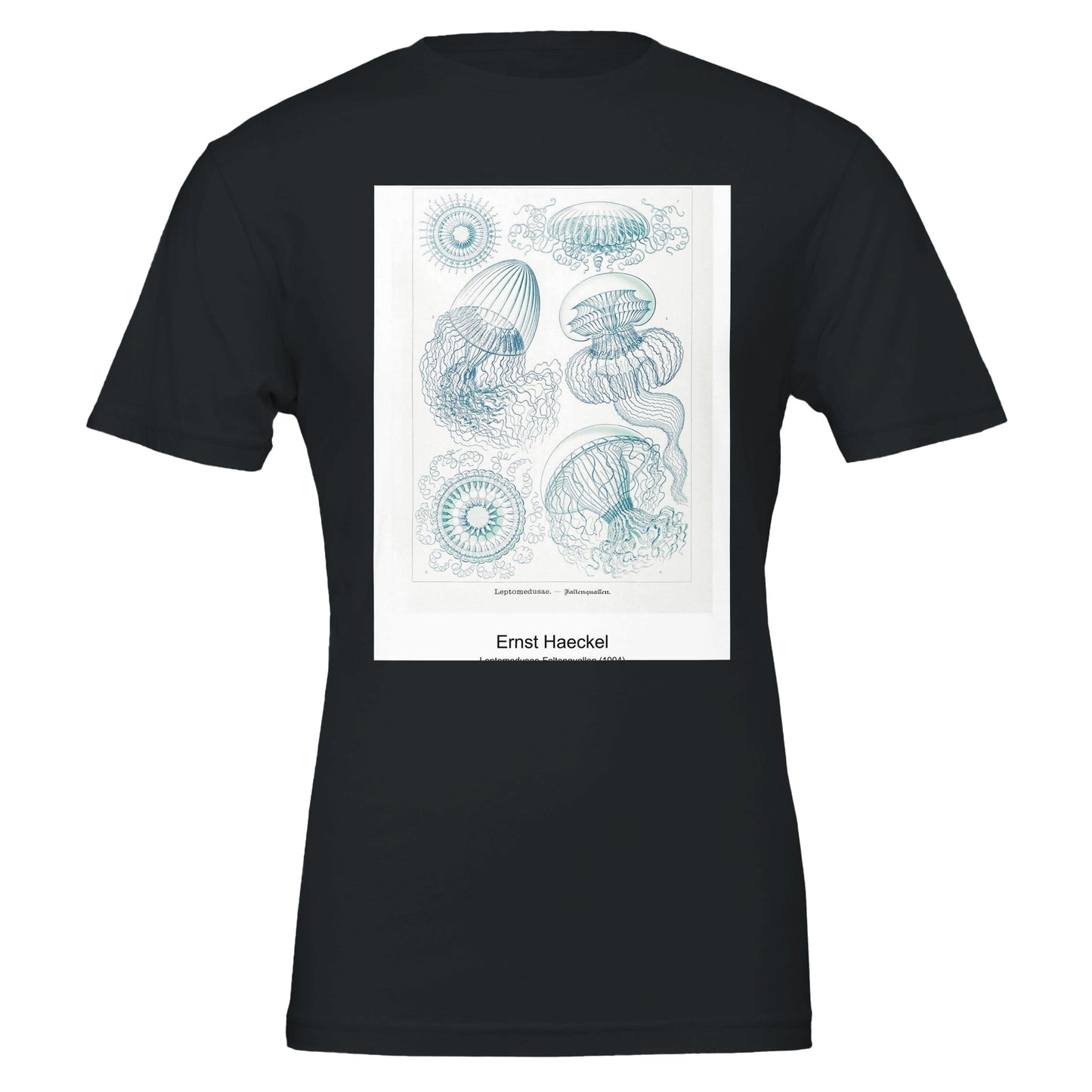 11a3974d-0bd4-40b8-af7b-e0576ceadf2a