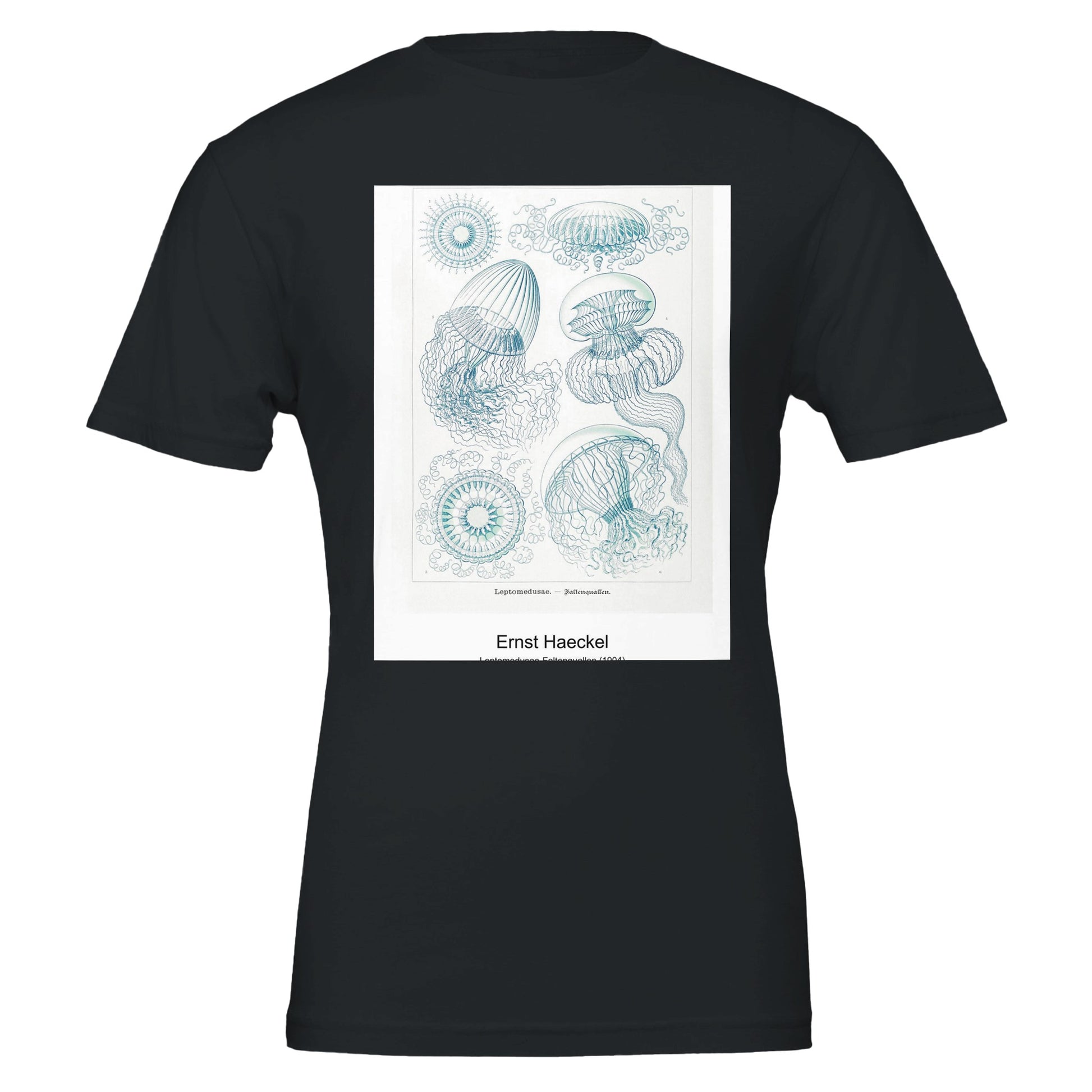 11a3974d-0bd4-40b8-af7b-e0576ceadf2a