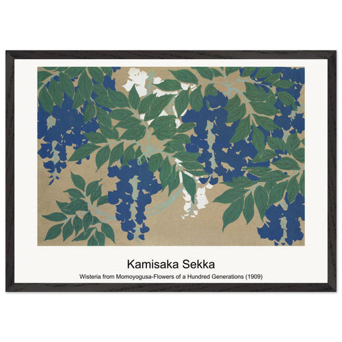 Wisteria from Momoyogusa-Flowers of a Hundred Generations (1909) by Kamisaka Sekka. Archival Print on Museum Quality Matte Paper. Premium Wood Framed Wall Art. Original Aspect Ratio