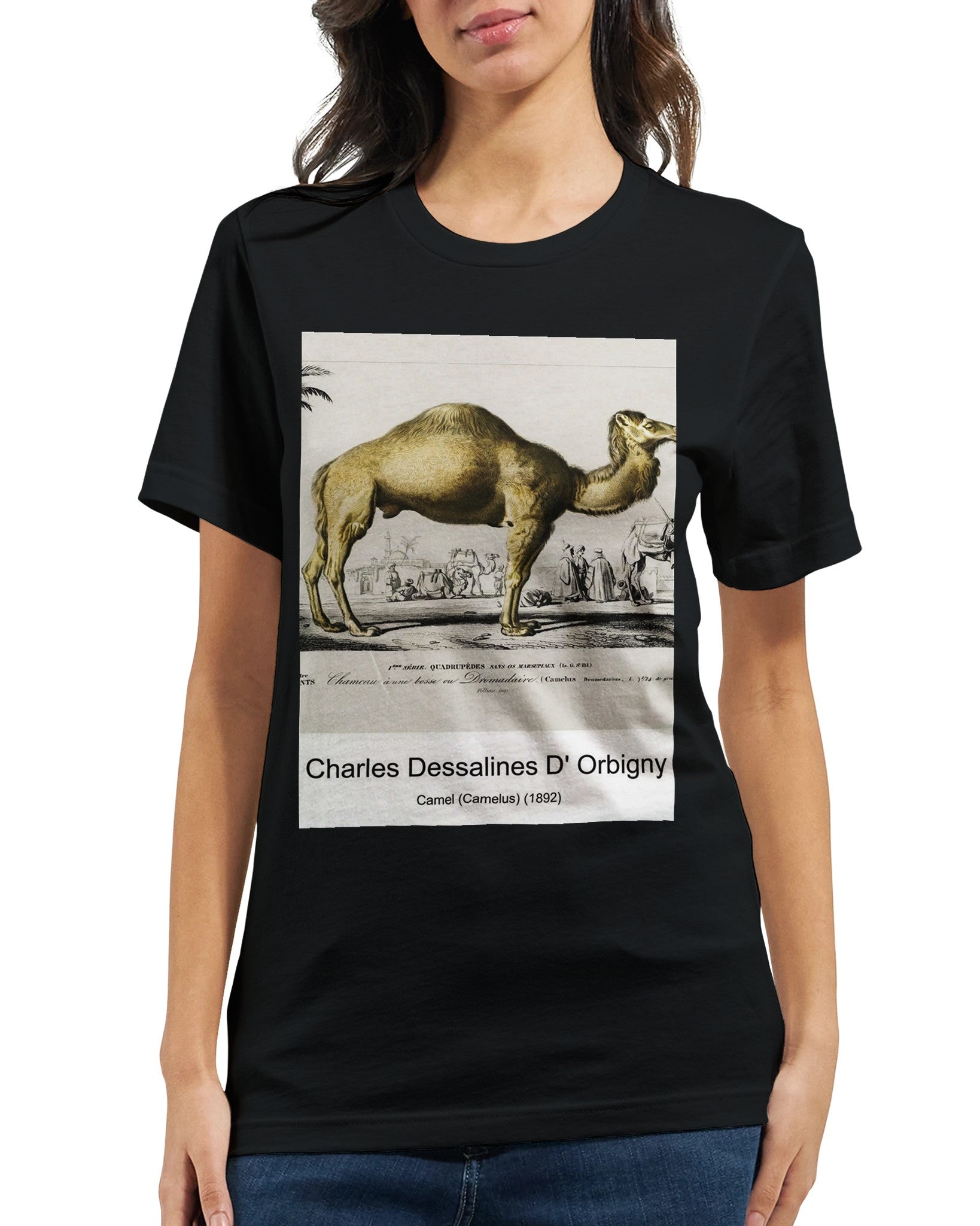 13535727-a6bd-4f81-917e-b42f523097f9