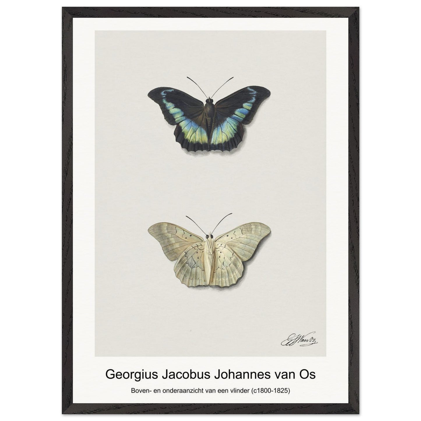 138411da-fc21-4612-9bd0-c0551bf5b472