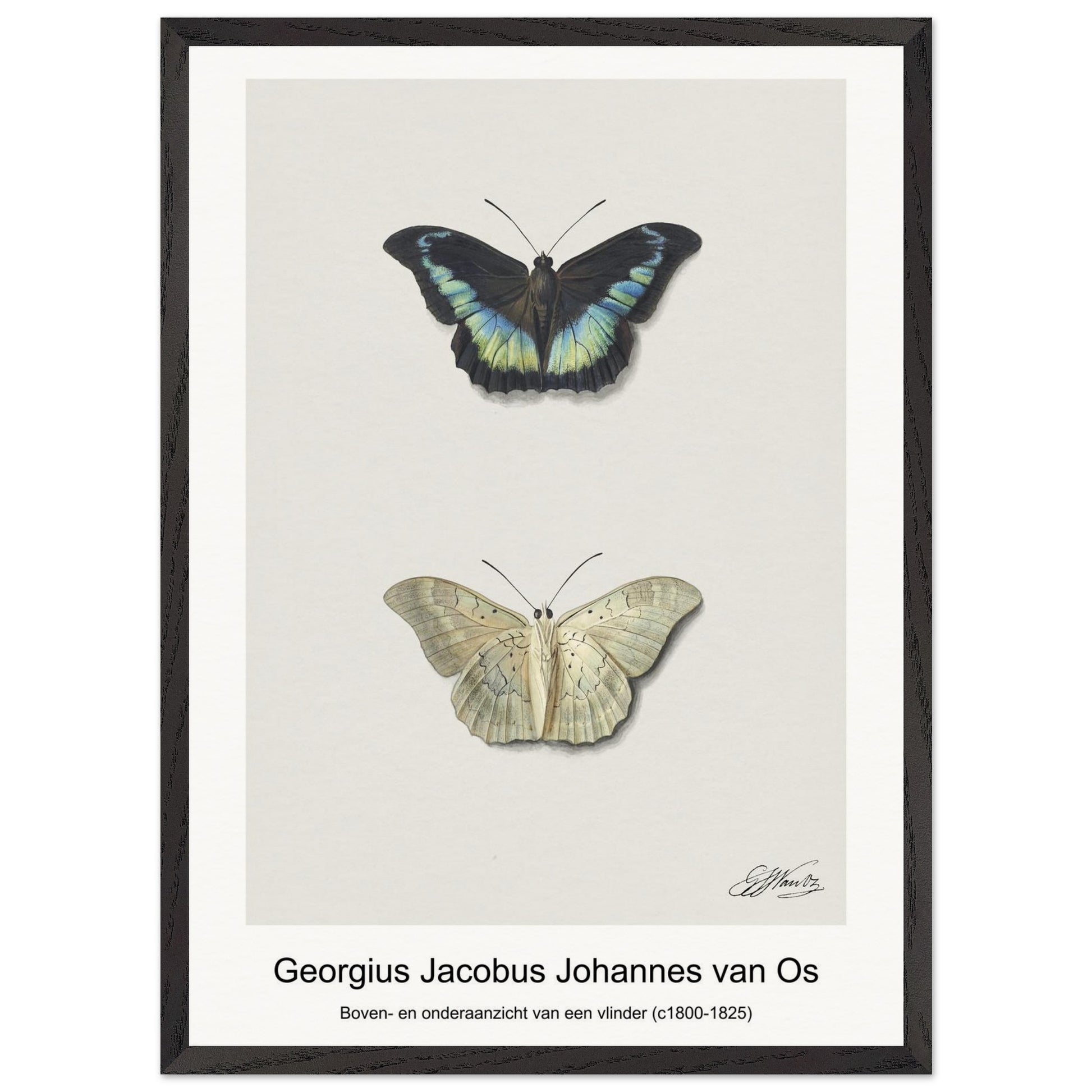 138411da-fc21-4612-9bd0-c0551bf5b472