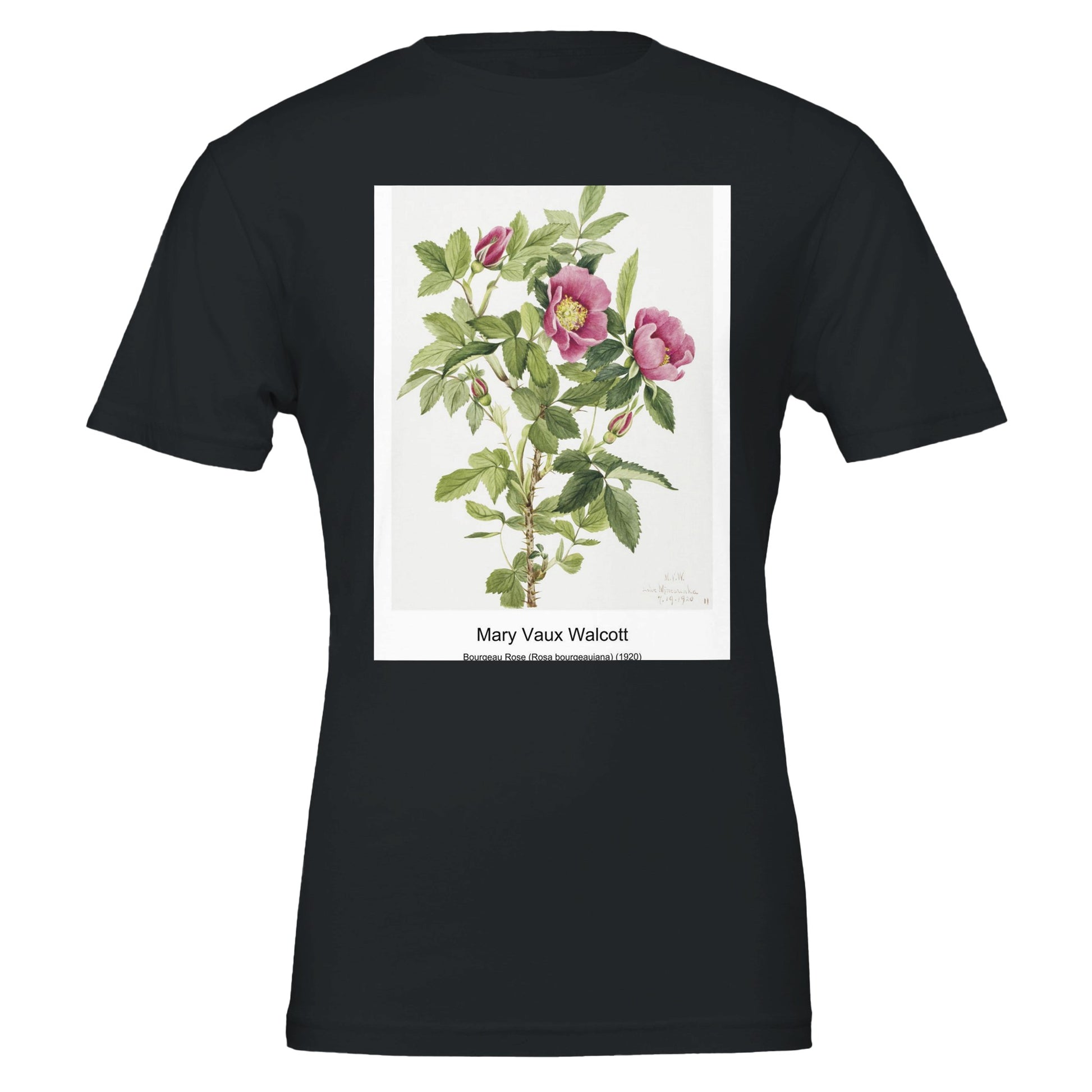 13ac438b-b79b-4841-a621-893f17415350