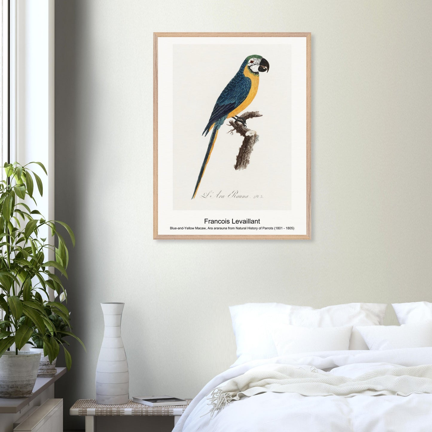 13cd2933-6f5e-4e65-a43c-183cac463e99