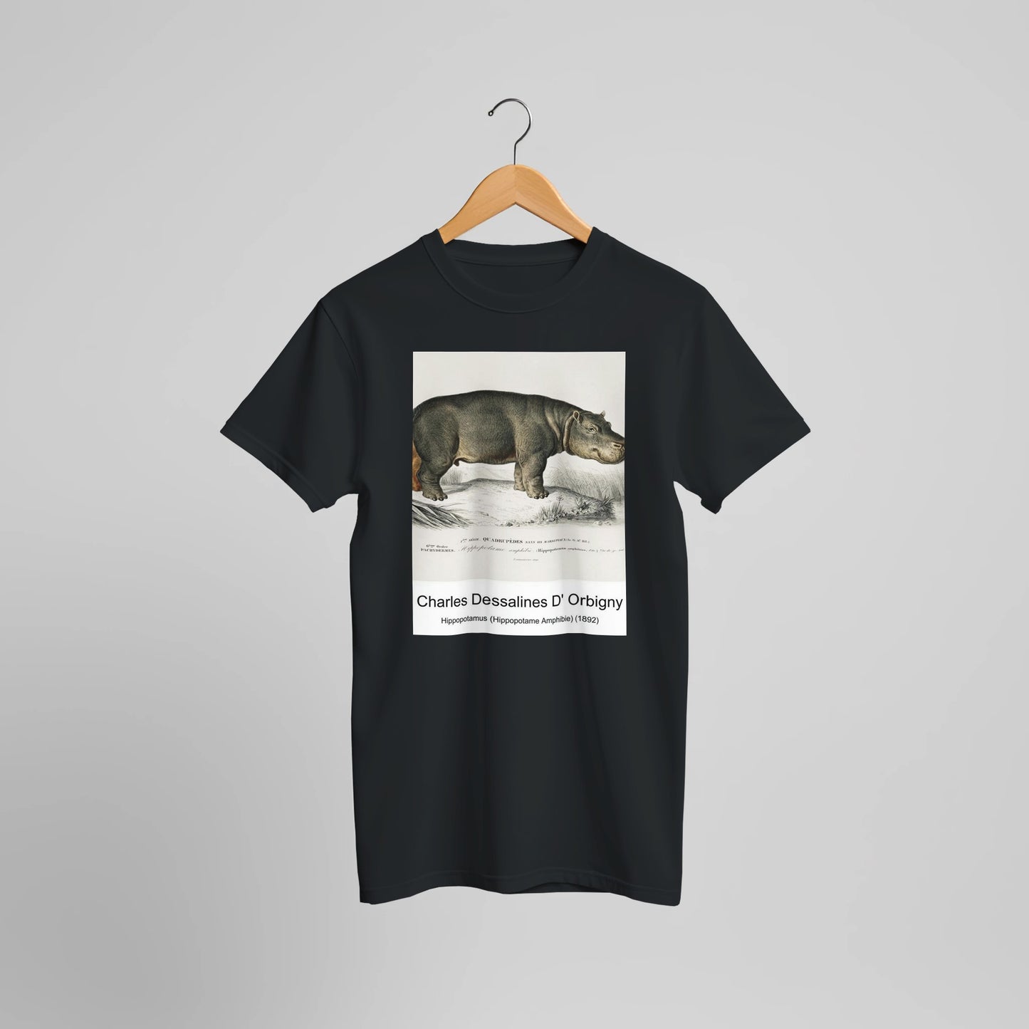 13d4c507-013f-4ec7-8f9b-f4c85f3bdcc9