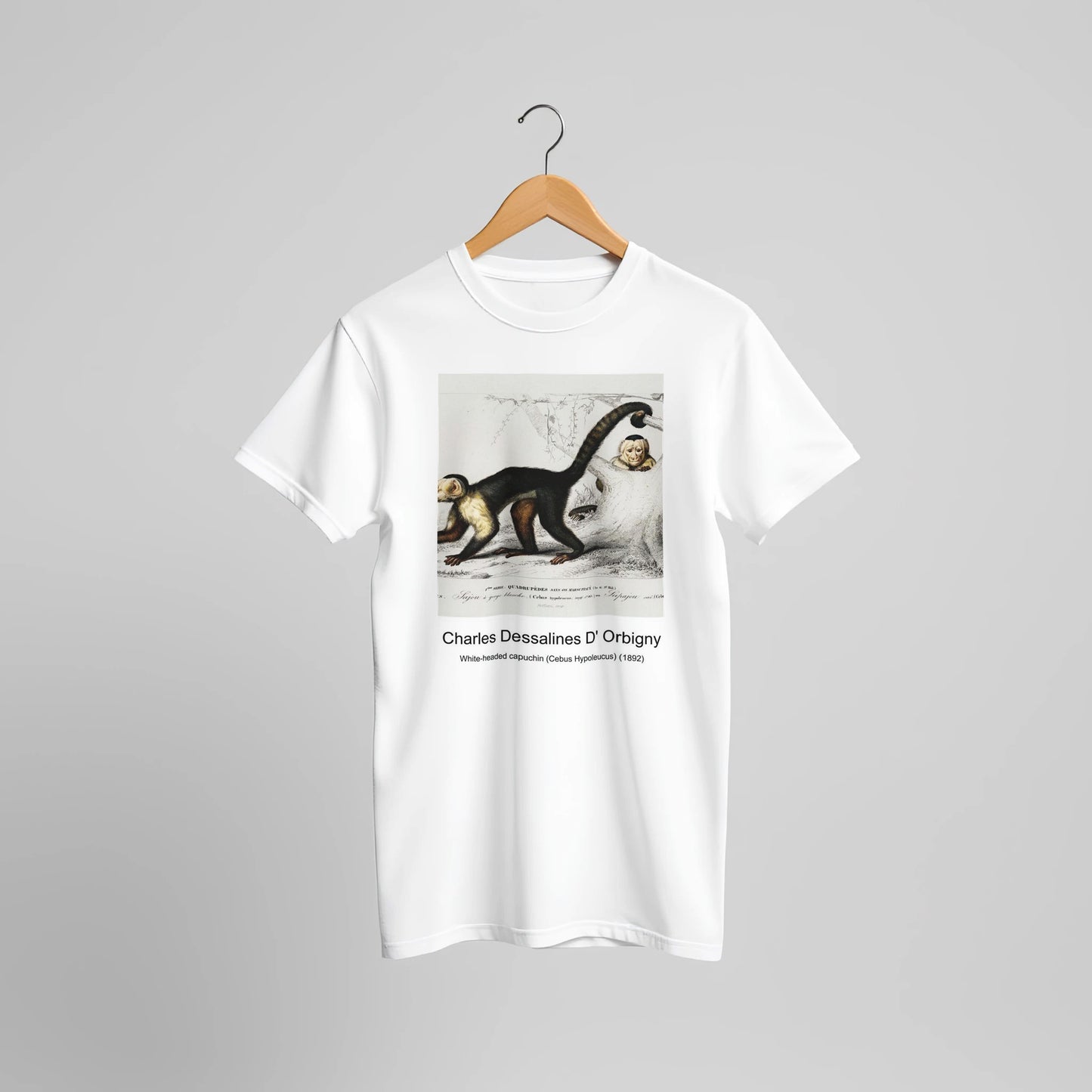 1430ac28-4748-49ed-84b0-39896842b75d